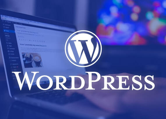 Wordpress Özel Ders